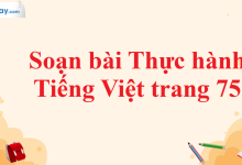 Soạn bài Thực hành Tiếng Việt trang 75 SGK Ngữ văn 11 tập 2 Cánh diều - chi tiết>