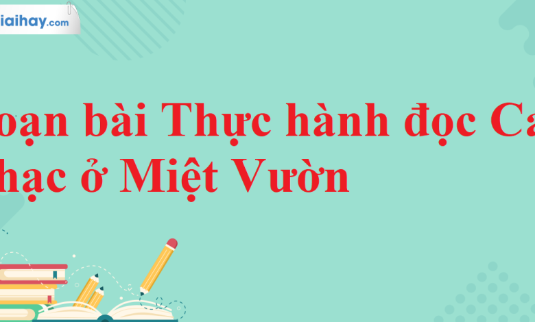 Soạn bài Thực hành đọc Ca nhạc ở Miệt Vườn SGK Ngữ văn 11 tập 2 Kết nối tri thức - chi tiết>