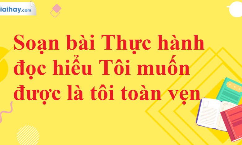 Soạn bài Thực hành đọc hiểu Tôi muốn được là tôi toàn vẹn SGK Ngữ văn 11 tập 2 Cánh diều - chi tiết>