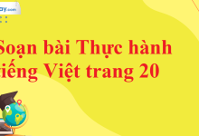Soạn bài Thực hành tiếng Việt trang 20 SGK Ngữ văn 11 tập 2 Kết nối tri thức - chi tiết>