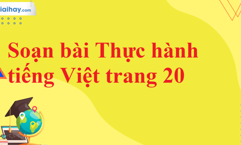 Soạn bài Thực hành tiếng Việt trang 20 SGK Ngữ văn 11 tập 2 Kết nối tri thức - chi tiết>