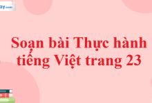 Soạn bài Thực hành tiếng Việt trang 23 SGK Ngữ văn 11 tập 2 Chân trời sáng tạo - chi tiết>