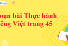 Soạn bài Thực hành tiếng Việt trang 45 SGK Ngữ văn 11 tập 2 Chân trời sáng tạo - chi tiết>