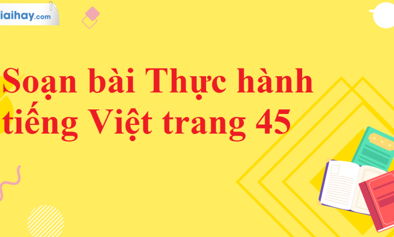 Soạn bài Thực hành tiếng Việt trang 45 SGK Ngữ văn 11 tập 2 Chân trời sáng tạo - chi tiết>