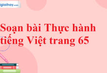 Soạn bài Thực hành tiếng Việt trang 65 SGK Ngữ văn 11 tập 2 Chân trời sáng tạo - chi tiết>