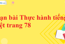 Soạn bài Thực hành tiếng Việt trang 78 SGK Ngữ văn 11 tập 2 Kết nối tri thức - chi tiết>