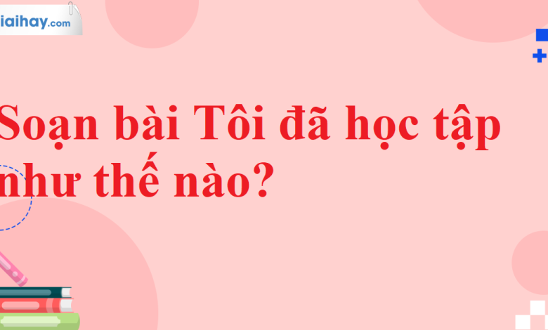 Soạn bài Tôi đã học tập như thế nào? SGK Ngữ văn 11 tập 2 Chân trời sáng tạo - chi tiết>