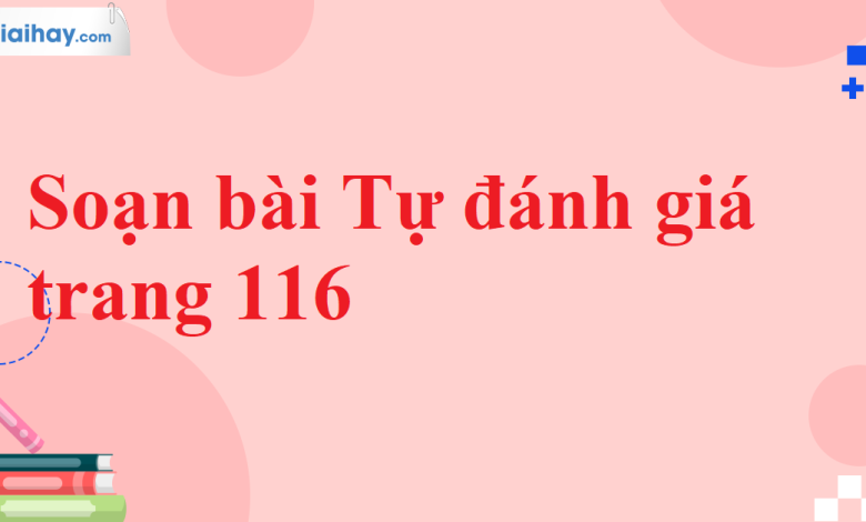 Soạn bài Tự đánh giá trang 116 SGK Ngữ văn 11 tập 2 Cánh diều - chi tiết>