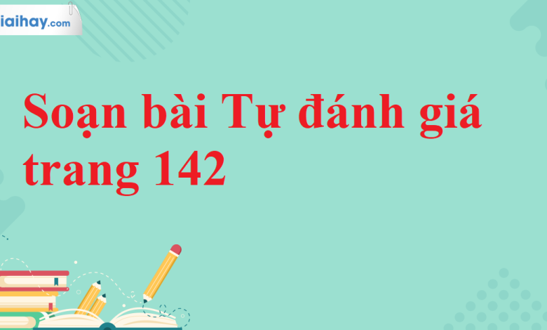 Soạn bài Tự đánh giá trang 142 SGK Ngữ văn 11 tập 2 Cánh diều - chi tiết>