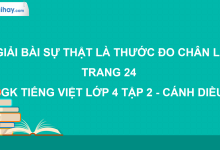 Sự thật là thước đo chân lí trang 24 SGK Tiếng Việt 4 tập 2 Cánh diều>
