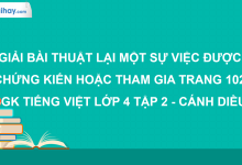 Thuật lại một sự việc được chứng kiến hoặc tham gia trang 102 SGK Tiếng Việt 4 tập 2 Cánh diều>