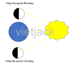 Vẽ một sơ đồ cho thấy vị trí của Mặt Trời, Mặt Trăng và Trái Đất khi ta quan sát thấy bán nguyệt