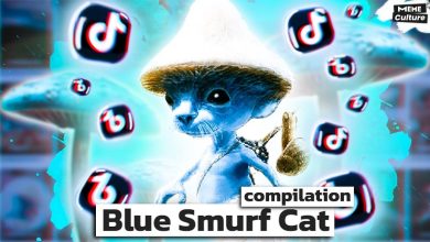 Blue Smurf Cat Meme