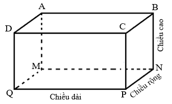 Bài 5 trang 56 Toán 6 Tập 2 Cánh diều | Giải Toán lớp 6