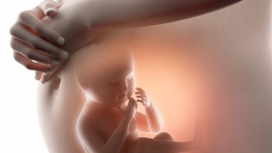 [Khám Phá] bộ hình ảnh em bé trong bụng mẹ qua từng giai đoạn