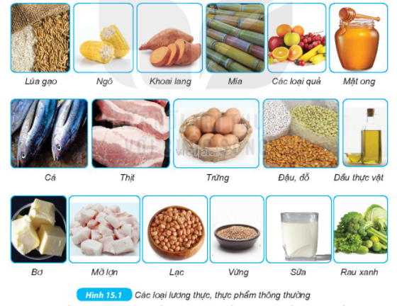 Quan sát hình 15.1 và cho biết thực phẩm nào cung cấp protein, thực phẩm nào cung cấp lipid
