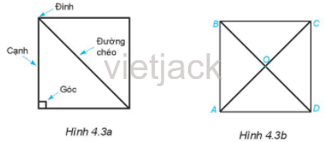 Quan sát Hình 4.3a. Nêu tên các đỉnh, cạnh, đường chéo