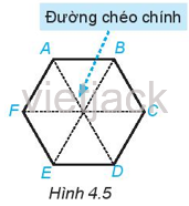 Hoạt động 6 trang 80 Toán 6 Tập 1 | Kết nối tri thức Giải Toán lớp 6