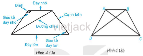 Hoạt động 8 trang 88 Toán 6 Tập 1 | Kết nối tri thức Giải Toán lớp 6