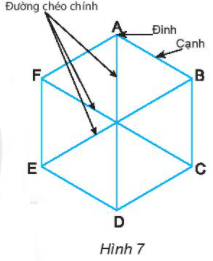 Thực hành 6 trang 78 Toán 6 Tập 1 Chân trời sáng tạo | Giải Toán lớp 6