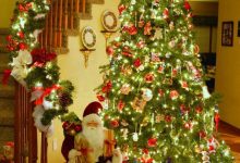 100+ hình ảnh cây thông Noel đẹp nhất đón Giáng sinh yêu thương