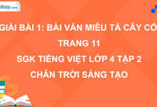 Bài 1: Bài văn miêu tả câu cối trang 11 SGK Tiếng Việt 4 tập 2 Chân trời sáng tạo>