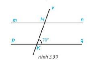 Bài 3.17 trang 53 Toán 7 tập 1 SGK Kết nối tri thức với cuộc sống