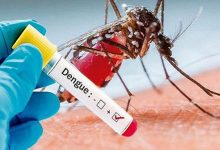 Bài tuyên truyền phòng chống bệnh sốt xuất huyết