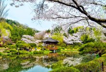 101 hình ảnh phong cảnh Hàn Quốc đẹp, mê hoặc lòng người