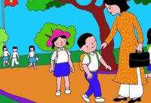 Bài dự thi Tấm gương nhà giáo Việt Nam (10 mẫu)